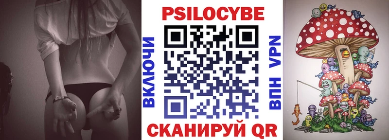Галлюциногенные грибы Psilocybine cubensis  купить наркотики сайты  Рошаль 
